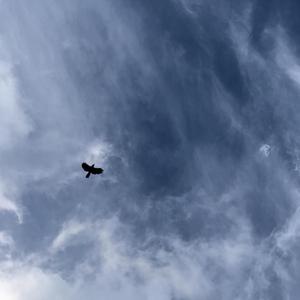 EAEB Where You Belong