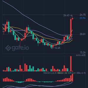 你的样子（纯口琴版）