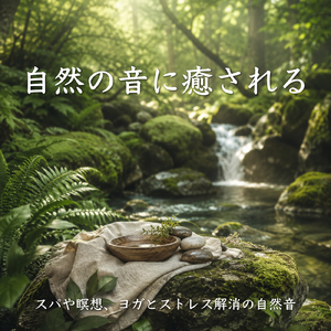 森の音で心を落ち着かせる睡眠導入音楽