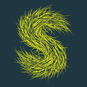 [reciprocess : +/vs.]