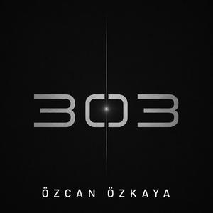 303