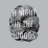 Tyler Friedman - A Night in the Woods (Rivet Remix)