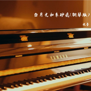 白月光和朱砂痣(钢琴版)
