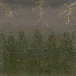 Thunder