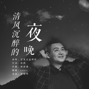 清风沉醉的夜晚