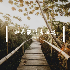 如果能够去海边