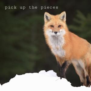 Pick Up The Pieces (Smoothbrain Solo)