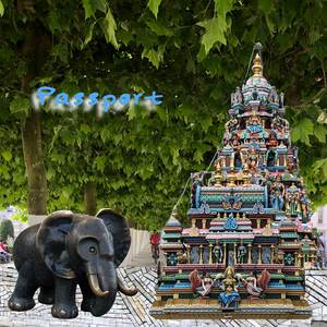 PASSPORT (Remastered)