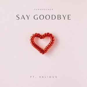 Say Goodbye (feat. Vxlious)