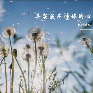Inertia Flow｜牛顿第一定律