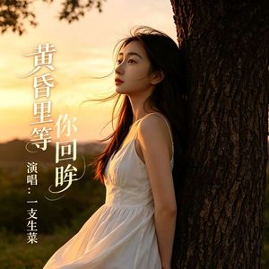黄昏里等你回眸