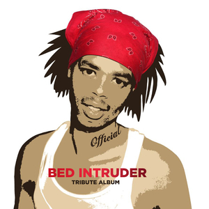 Bed Intruder Song (Dubstep Version)