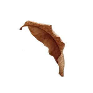 秋风落叶（prod by Coffee Idol）