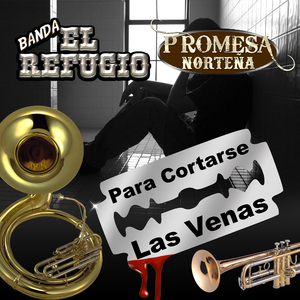 Voy a Arrancarme Tu Amor