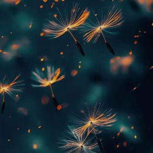 “Lonely Street”Dark Lo-fi & Hiphop Beat