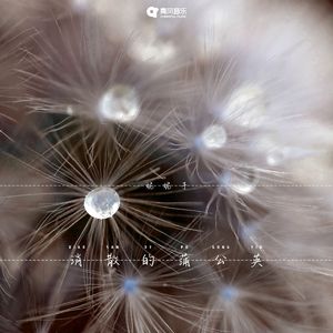 消散的蒲公英