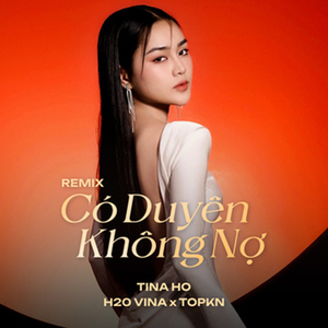 Có Duyên Không Nợ (feat. H2O Vina & TOPKN) [Remix]
