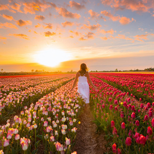 Pensamientos Melódicos Suaves