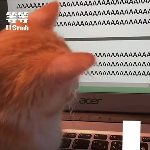 666