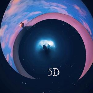 5D
