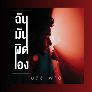 ฉันมันผิดเอง