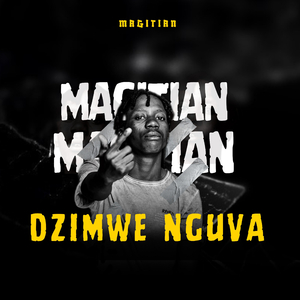 Dzimwe Nguva
