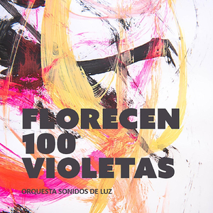 Florecen 100 Violetas