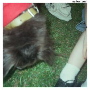 procedural (automático)