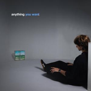 Anything You Want
