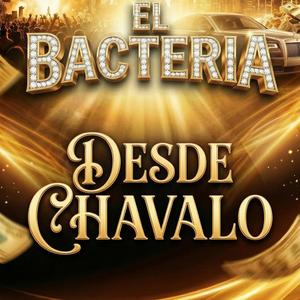 DESDE CHAVALO