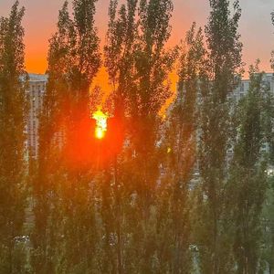 学期（prod by Siren&Autrioly）