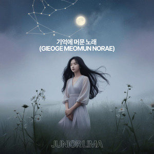 시간을 거슬러 (Siganeul Geoseulleo)