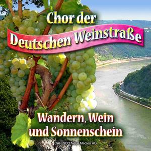 In Weinberg Reifen Die Trauben