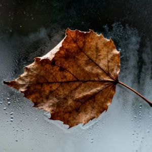 不再飘荡（new）