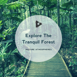 Nature's Beauty Around