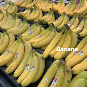 怎么唱情歌（翻自 风小筝）