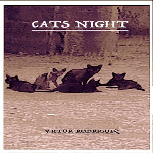 CATS NIGHT