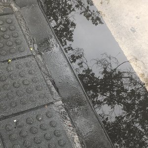 2024年6月20日FSZS1.0