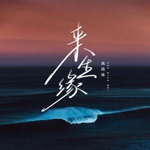 来生缘 (烟嗓版)