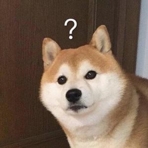 起风了