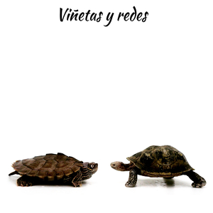 Viñetas y Redes