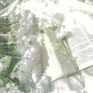 微睡む月の夜のアリア