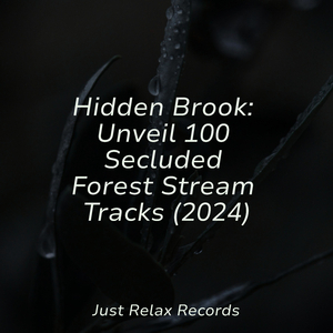 Emerging Aurora Overture