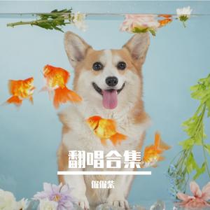 清平调（独唱版 翻自王菲）