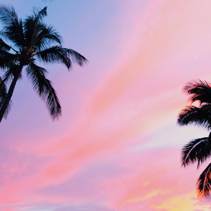 Time the hourglass（时间沙漏）