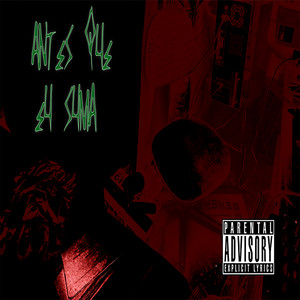 Desculpas em Palavras