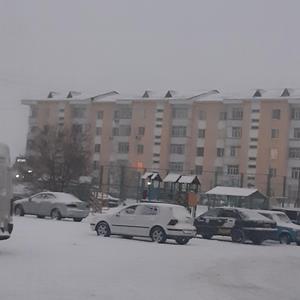 that winter was really warm.