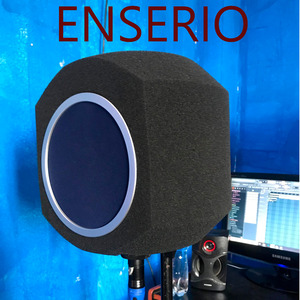 Enserio