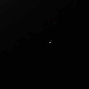 还是陷入了你（prod. mirrow）