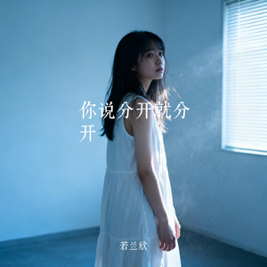 你说分开就分开